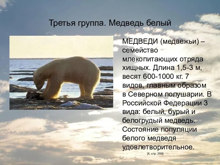 Третья группа. Медведь белый МЕДВЕДИ (медвежьи) – семейство млекопитающих отряда хищных. Длина 1,5-3