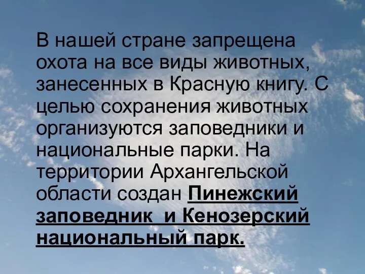 В нашей стране запрещена охота на все виды животных, занесенных