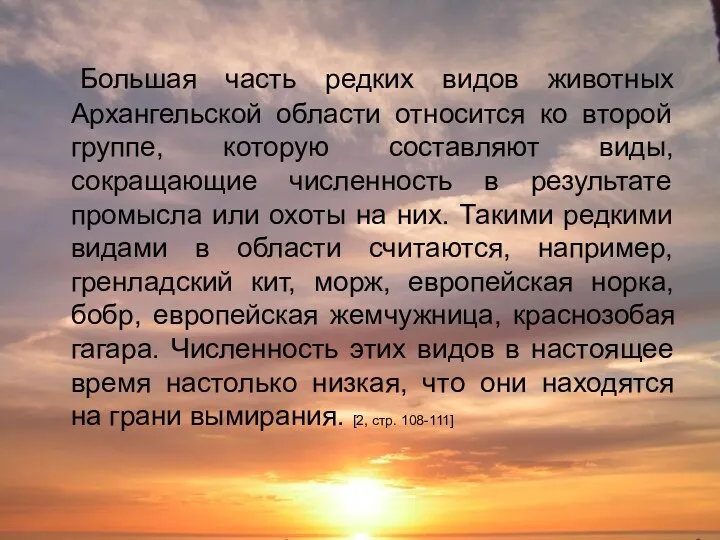 Большая часть редких видов животных Архангельской области относится ко второй группе, которую составляют