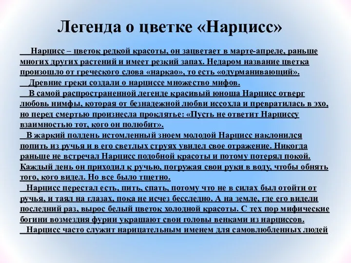 Нарцисс – цветок редкой красоты, он зацветает в марте-апреле, раньше многих других растений