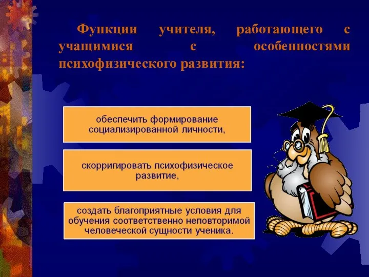 Функции учителя, работающего с учащимися с особенностями психофизического развития: