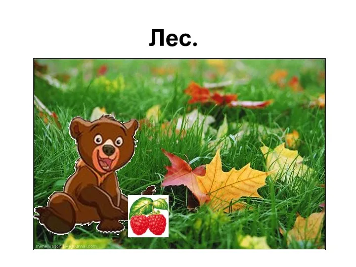 Лес.