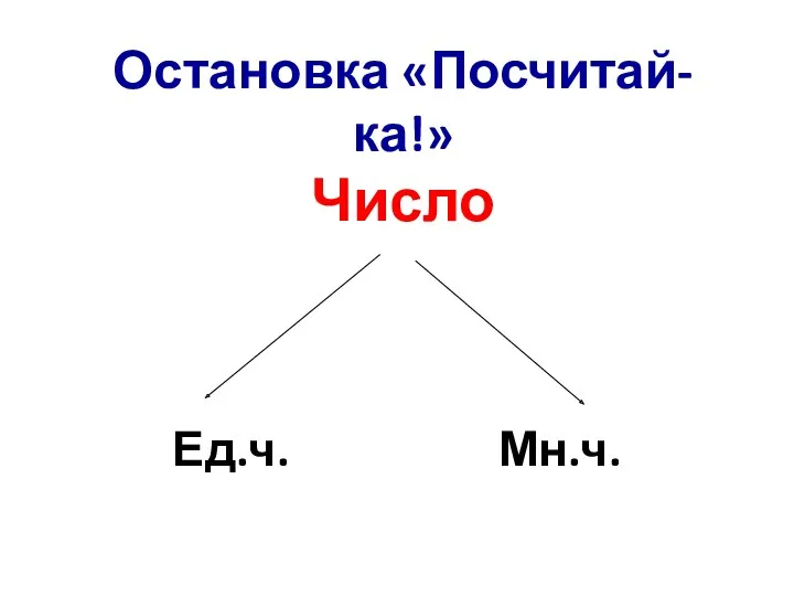 Остановка «Посчитай-ка!» Число Ед.ч. Мн.ч.