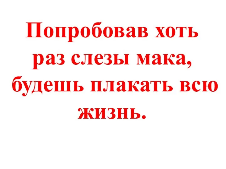 Попробовав хоть раз слезы мака, будешь плакать всю жизнь.