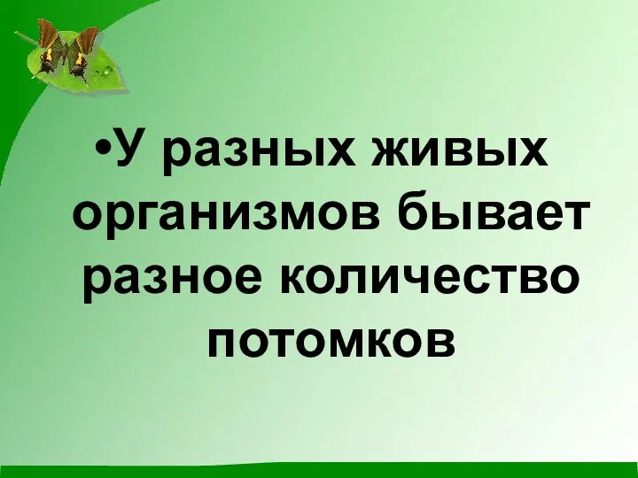 У разных живых организмов бывает разное количество потомков