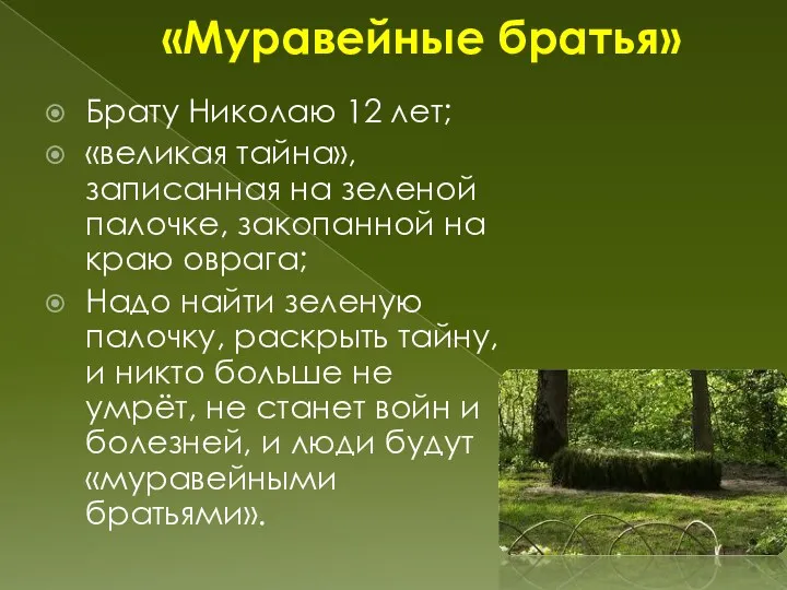 «Муравейные братья» Брату Николаю 12 лет; «великая тайна», записанная на