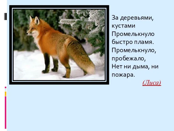 За деревьями, кустами Промелькнуло быстро пламя. Промелькнуло, пробежало, Нет ни дыма, ни пожара. (Лиса)