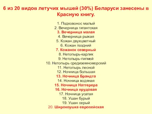 6 из 20 видов летучих мышей (30%) Беларуси занесены в Красную книгу. 1.