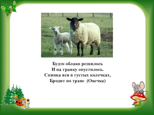 Будто облако резвилось И на травку опустилось. Спинка вся в густых колечках, Бродит по траве (Овечка)