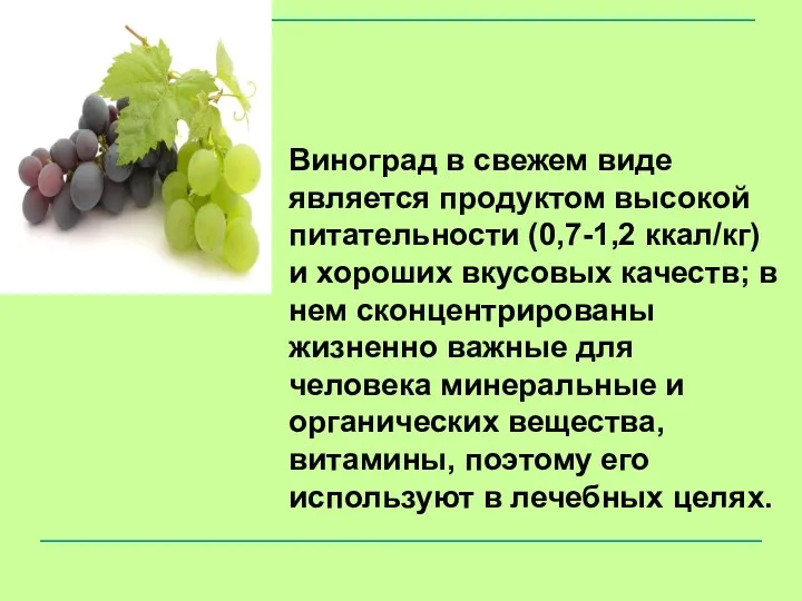 Виноград в свежем виде является продуктом высокой питательности (0,7-1,2 ккал/кг) и хороших вкусовых