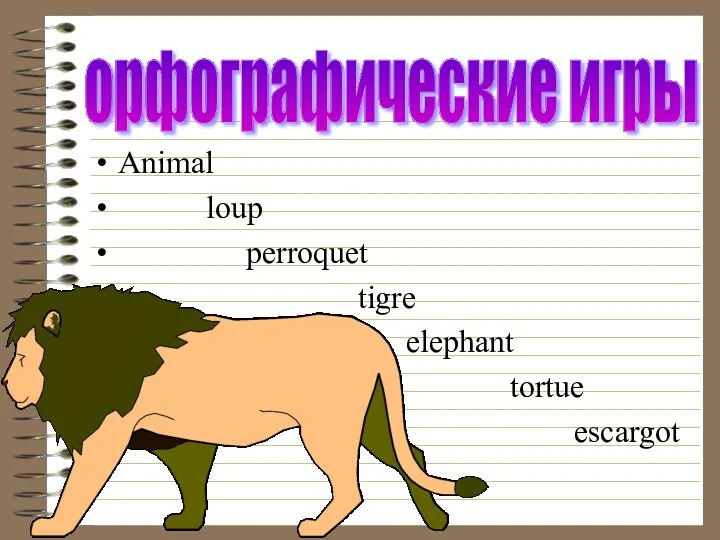 Animal loup perroquet tigre elephant tortue escargot орфографические игры