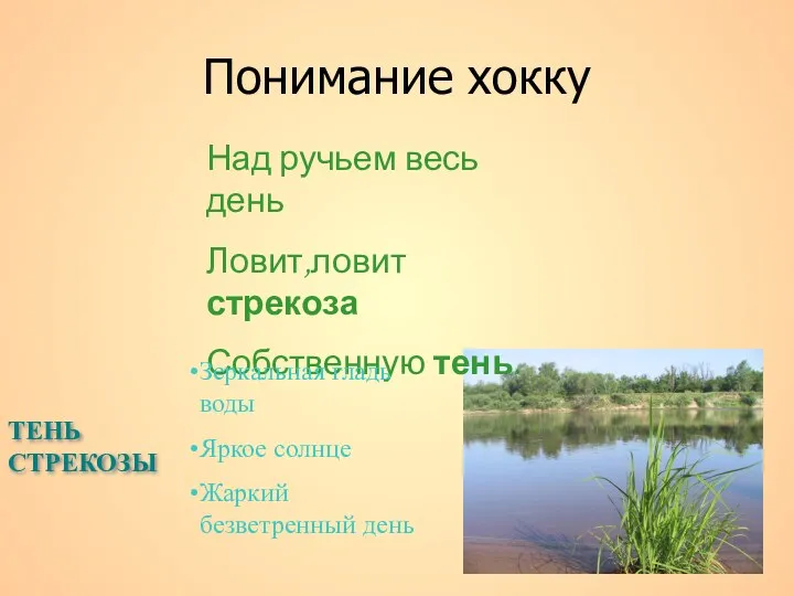 Над ручьем весь день Ловит,ловит стрекоза Собственную тень. ТЕНЬ СТРЕКОЗЫ