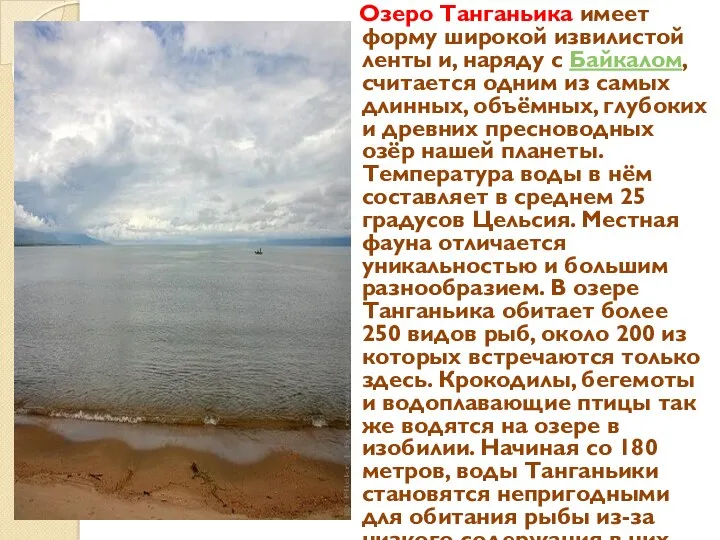 Озеро Танганьика имеет форму широкой извилистой ленты и, наряду с Байкалом, считается одним