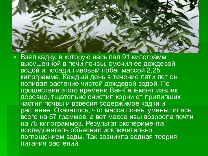 Взял кадку, в которую насыпал 91 килограмм высушенной в печи