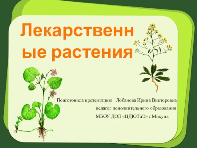 Лекарственные растения