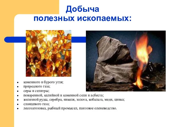 Добыча полезных ископаемых: каменного и бурого угля; природного газа; серы и селитры; поваренной,