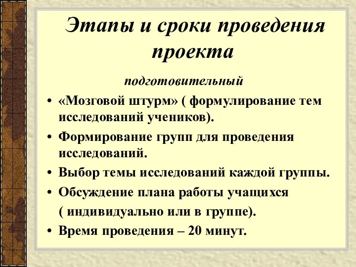 Этапы и сроки проведения проекта подготовительный «Мозговой штурм» ( формулирование