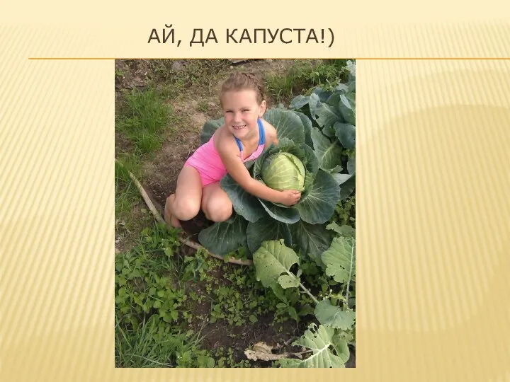 Ай, Да Капуста!)