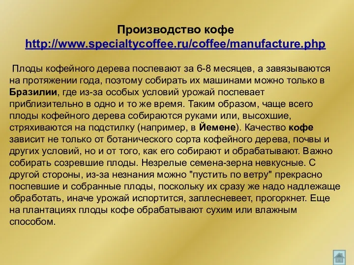 Производство кофе http://www.specialtycoffee.ru/coffee/manufacture.php Плоды кофейного дерева поспевают за 6-8 месяцев, а завязываются на