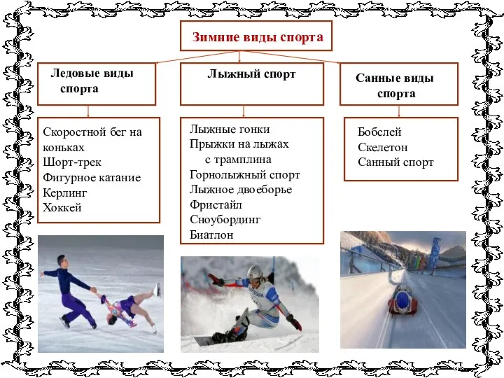 Зимние виды спорта Ледовые виды спорта Лыжный спорт Санные виды спорта Бобслей Скелетон