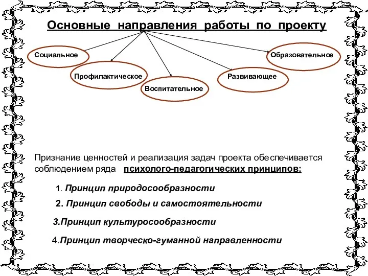 Основные направления работы по проекту Социальное Профилактическое Развивающее Воспитательное Образовательное