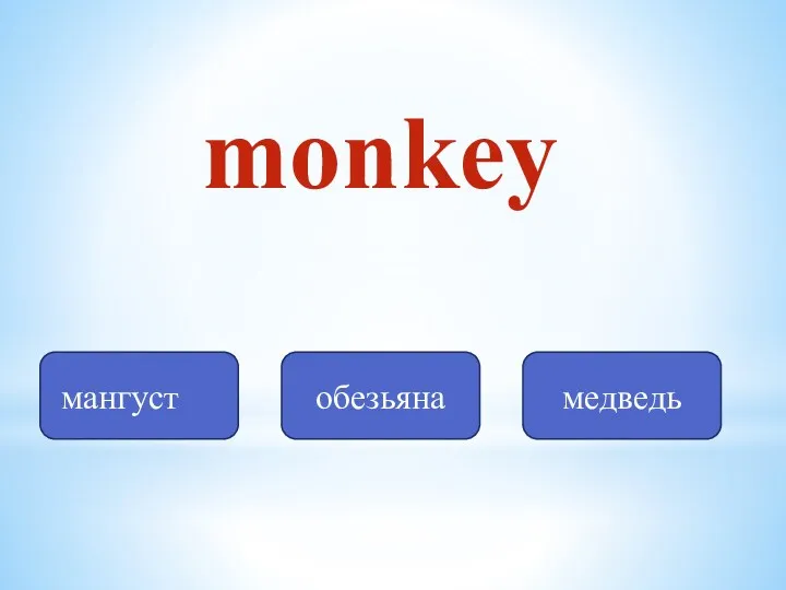 monkey мангуст обезьяна медведь