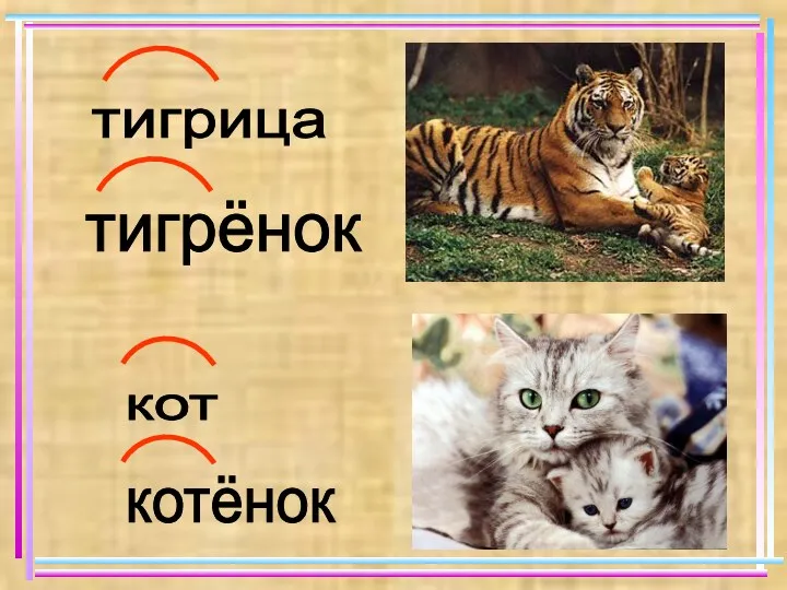 кот котёнок тигрица тигрёнок