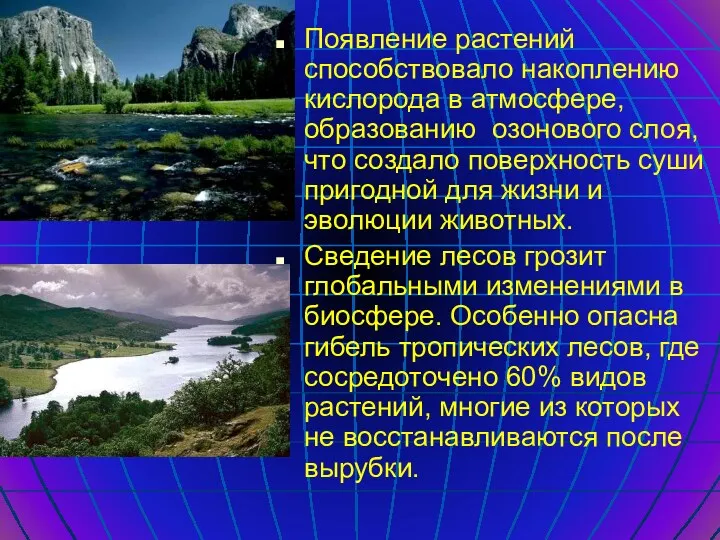 Появление растений способствовало накоплению кислорода в атмосфере, образованию озонового слоя,