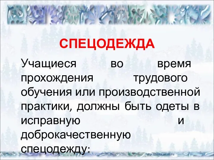 СПЕЦОДЕЖДА Учащиеся во время прохождения трудового обучения или производственной практики,