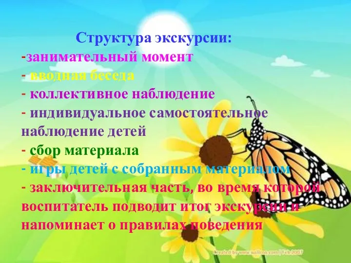 Структура экскурсии: -занимательный момент - вводная беседа - коллективное наблюдение