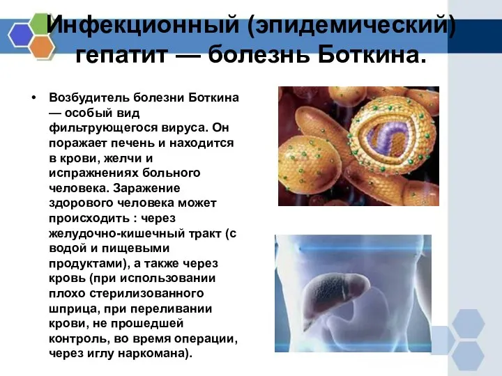 Инфекционный (эпидемический) гепатит — болезнь Боткина. Возбудитель болезни Боткина —