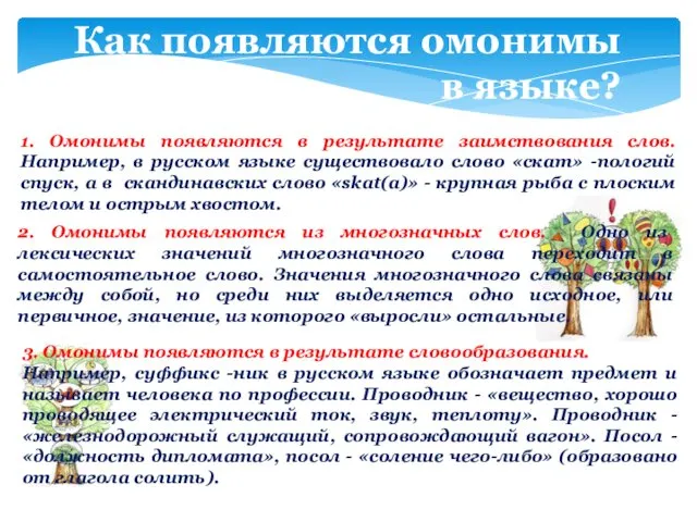 Как появляются омонимы в языке? 1. Омонимы появляются в результате