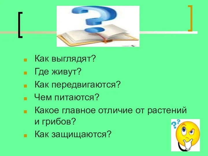 Как выглядят? Где живут? Как передвигаются? Чем питаются? Какое главное