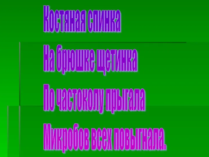 Костяная спинка На брюшке щетинка По частоколу прыгала Микробов всех повыгнала.