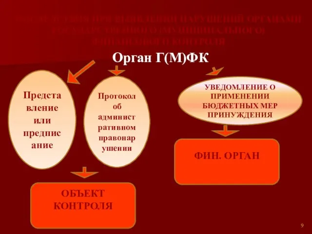 ПОСЛЕДСТВИЯ ПРИ ВЫЯВЛЕНИИ НАРУШЕНИЙ ОРГАНАМИ ГОСУДАРСТВЕННОГО (МУНИЦИПАЛЬНОГО) ФИНАНСОВОГО КОНТРОЛЯ Орган