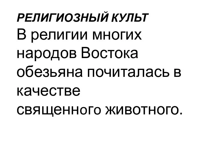 РЕЛИГИОЗНЫЙ КУЛЬТ В религии многих народов Востока обезьяна почиталась в качестве священнoгo животного.