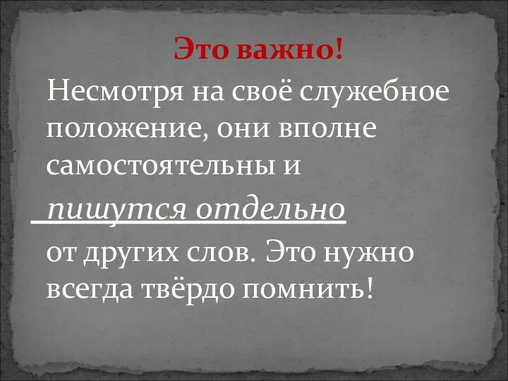 Это важно! Несмотря на своё служебное положение, они вполне самостоятельны