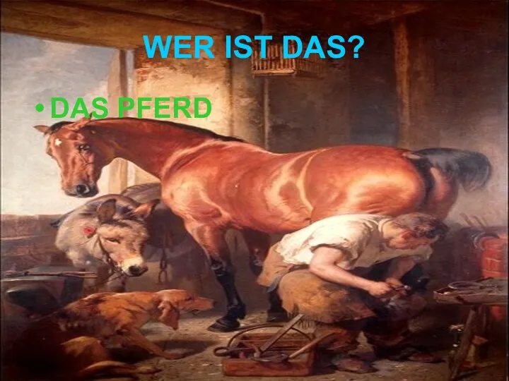 WER IST DAS? DAS PFERD