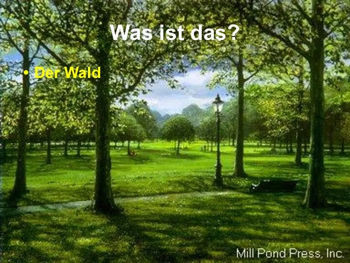 Was ist das? Der Wald