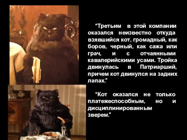 “Третьим в этой компании оказался неизвестно откуда взявшийся кот, громадный, как боров, черный,