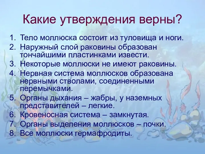 Какие утверждения верны? Тело моллюска состоит из туловища и ноги. Наружный слой раковины