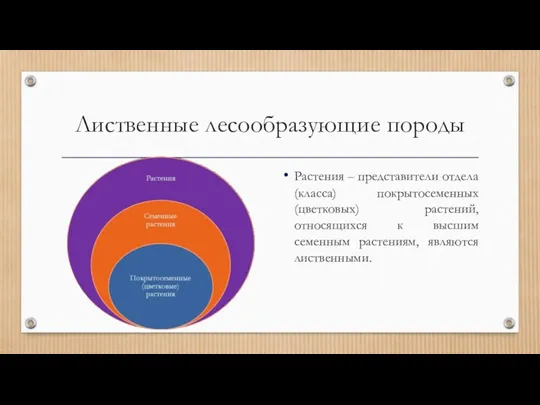 Лиственные лесообразующие породы Растения – представители отдела (класса) покрытосеменных (цветковых)