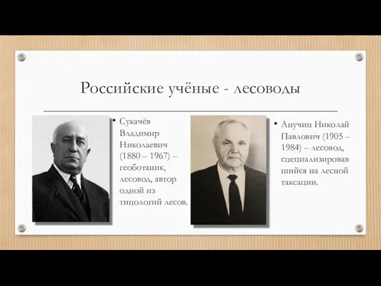 Российские учёные - лесоводы Анучин Николай Павлович (1905 – 1984)