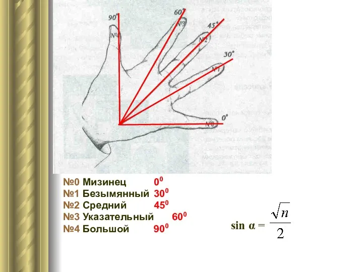 №0 Мизинец 00 №1 Безымянный 300 №2 Средний 450 №3 Указательный 600 №4 Большой 900