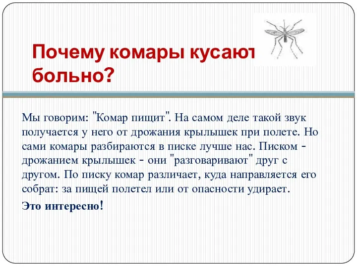 Почему комары кусают больно? Мы говорим: "Комар пищит". На самом