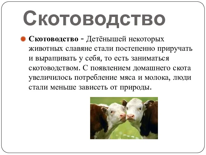 Скотоводство Скотоводство - Детёнышей некоторых животных славяне стали постепенно приручать и выращивать у