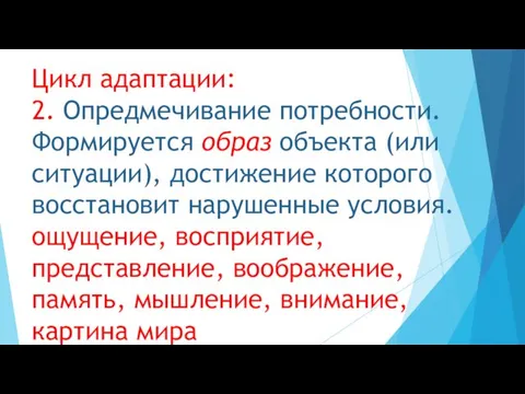 Цикл адаптации: 2. Опредмечивание потребности. Формируется образ объекта (или ситуации),