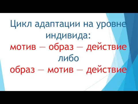 Цикл адаптации на уровне индивида: мотив — образ — действие либо образ — мотив — действие