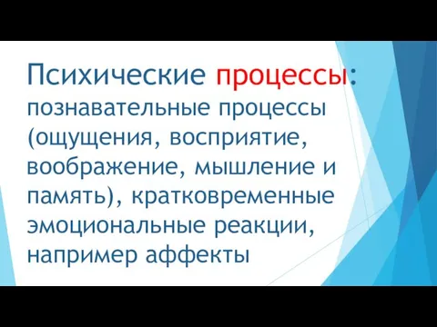 Психические процессы: познавательные процессы (ощущения, восприятие, воображение, мышление и память), кратковременные эмоциональные реакции, например аффекты