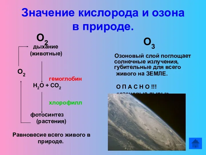 Значение кислорода и озона в природе. О2 дыхание (животные) О2 гемоглобин Н2О +